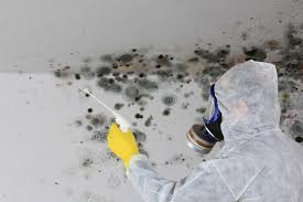 Best Industrial Mold Remediation  in Stafford Springs, CT